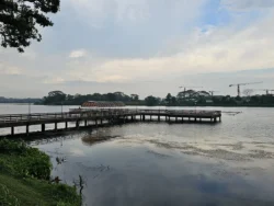 Lower Seletar Reservoir Park Svg+xml,%3Csvg%20xmlns%3D%22http%3A%2F%2Fwww.w3