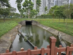 Lower Seletar Reservoir Park Svg+xml,%3Csvg%20xmlns%3D%22http%3A%2F%2Fwww.w3