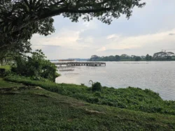 Lower Seletar Reservoir Park Svg+xml,%3Csvg%20xmlns%3D%22http%3A%2F%2Fwww.w3