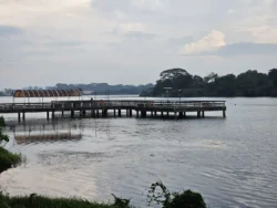 Lower Seletar Reservoir Park Svg+xml,%3Csvg%20xmlns%3D%22http%3A%2F%2Fwww.w3