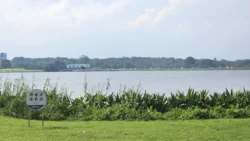 Lower Seletar Reservoir (Rower's Bay) Svg+xml,%3Csvg%20xmlns%3D%22http%3A%2F%2Fwww.w3