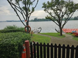 Lower Seletar Reservoir Park Svg+xml,%3Csvg%20xmlns%3D%22http%3A%2F%2Fwww.w3