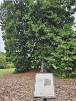 Singapore Botanic Gardens Svg+xml,%3Csvg%20xmlns%3D%22http%3A%2F%2Fwww.w3