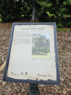 Singapore Botanic Gardens Svg+xml,%3Csvg%20xmlns%3D%22http%3A%2F%2Fwww.w3