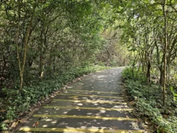 Admiralty Park Svg+xml,%3Csvg%20xmlns%3D%22http%3A%2F%2Fwww.w3