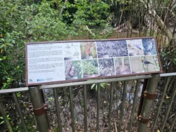 Admiralty Park Svg+xml,%3Csvg%20xmlns%3D%22http%3A%2F%2Fwww.w3