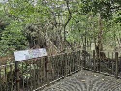 Admiralty Park Svg+xml,%3Csvg%20xmlns%3D%22http%3A%2F%2Fwww.w3