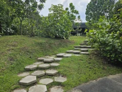 Admiralty Park Svg+xml,%3Csvg%20xmlns%3D%22http%3A%2F%2Fwww.w3