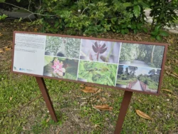 Admiralty Park Svg+xml,%3Csvg%20xmlns%3D%22http%3A%2F%2Fwww.w3