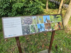 Admiralty Park Svg+xml,%3Csvg%20xmlns%3D%22http%3A%2F%2Fwww.w3