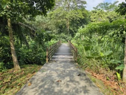 Admiralty Park Svg+xml,%3Csvg%20xmlns%3D%22http%3A%2F%2Fwww.w3