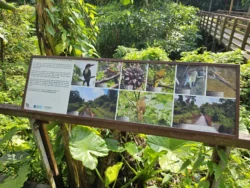 Admiralty Park Svg+xml,%3Csvg%20xmlns%3D%22http%3A%2F%2Fwww.w3