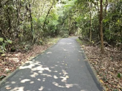 Admiralty Park Svg+xml,%3Csvg%20xmlns%3D%22http%3A%2F%2Fwww.w3