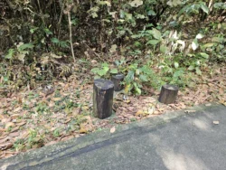 Admiralty Park Svg+xml,%3Csvg%20xmlns%3D%22http%3A%2F%2Fwww.w3