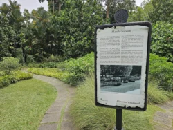 Singapore Botanic Gardens Svg+xml,%3Csvg%20xmlns%3D%22http%3A%2F%2Fwww.w3