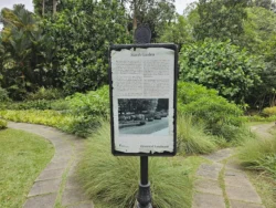Singapore Botanic Gardens Svg+xml,%3Csvg%20xmlns%3D%22http%3A%2F%2Fwww.w3