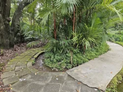 Singapore Botanic Gardens Svg+xml,%3Csvg%20xmlns%3D%22http%3A%2F%2Fwww.w3