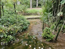 Singapore Botanic Gardens Svg+xml,%3Csvg%20xmlns%3D%22http%3A%2F%2Fwww.w3