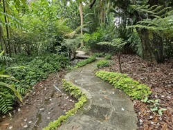 Singapore Botanic Gardens Svg+xml,%3Csvg%20xmlns%3D%22http%3A%2F%2Fwww.w3