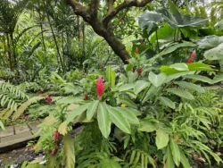 Singapore Botanic Gardens Svg+xml,%3Csvg%20xmlns%3D%22http%3A%2F%2Fwww.w3