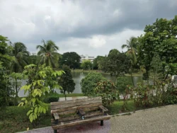 Marsiling Park Svg+xml,%3Csvg%20xmlns%3D%22http%3A%2F%2Fwww.w3