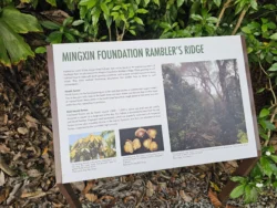 Singapore Botanic Gardens Svg+xml,%3Csvg%20xmlns%3D%22http%3A%2F%2Fwww.w3