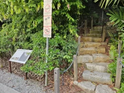 Singapore Botanic Gardens Svg+xml,%3Csvg%20xmlns%3D%22http%3A%2F%2Fwww.w3