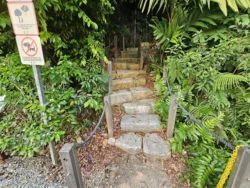 Singapore Botanic Gardens Svg+xml,%3Csvg%20xmlns%3D%22http%3A%2F%2Fwww.w3