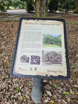 Singapore Botanic Gardens Svg+xml,%3Csvg%20xmlns%3D%22http%3A%2F%2Fwww.w3