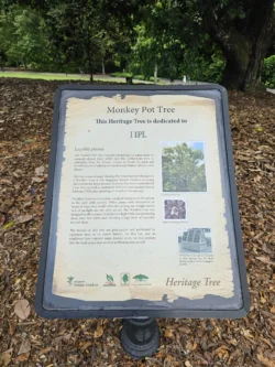 Singapore Botanic Gardens Svg+xml,%3Csvg%20xmlns%3D%22http%3A%2F%2Fwww.w3