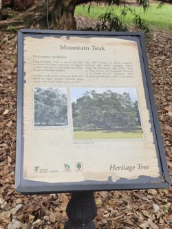 Singapore Botanic Gardens Svg+xml,%3Csvg%20xmlns%3D%22http%3A%2F%2Fwww.w3