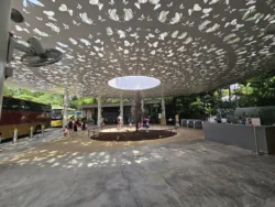 Singapore Botanic Gardens Svg+xml,%3Csvg%20xmlns%3D%22http%3A%2F%2Fwww.w3