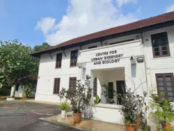 Singapore Botanic Gardens Svg+xml,%3Csvg%20xmlns%3D%22http%3A%2F%2Fwww.w3