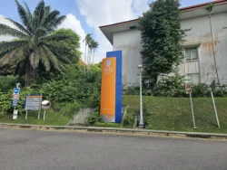 Singapore Botanic Gardens Svg+xml,%3Csvg%20xmlns%3D%22http%3A%2F%2Fwww.w3