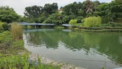 Yunnan Garden (NTU) Svg+xml,%3Csvg%20xmlns%3D%22http%3A%2F%2Fwww.w3