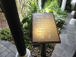 Singapore Botanic Gardens Svg+xml,%3Csvg%20xmlns%3D%22http%3A%2F%2Fwww.w3