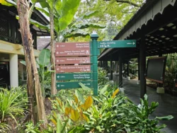 Singapore Botanic Gardens Svg+xml,%3Csvg%20xmlns%3D%22http%3A%2F%2Fwww.w3