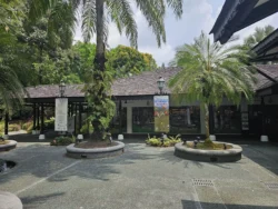 Singapore Botanic Gardens Svg+xml,%3Csvg%20xmlns%3D%22http%3A%2F%2Fwww.w3