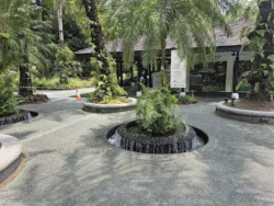 Singapore Botanic Gardens Svg+xml,%3Csvg%20xmlns%3D%22http%3A%2F%2Fwww.w3