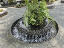 Singapore Botanic Gardens Svg+xml,%3Csvg%20xmlns%3D%22http%3A%2F%2Fwww.w3