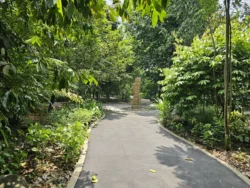 Singapore Botanic Gardens Svg+xml,%3Csvg%20xmlns%3D%22http%3A%2F%2Fwww.w3