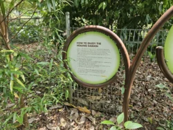 Singapore Botanic Gardens Svg+xml,%3Csvg%20xmlns%3D%22http%3A%2F%2Fwww.w3