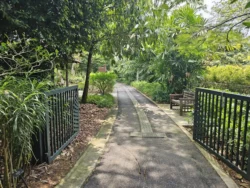 Singapore Botanic Gardens Svg+xml,%3Csvg%20xmlns%3D%22http%3A%2F%2Fwww.w3