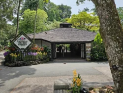 Singapore Botanic Gardens Svg+xml,%3Csvg%20xmlns%3D%22http%3A%2F%2Fwww.w3