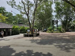 Singapore Botanic Gardens Svg+xml,%3Csvg%20xmlns%3D%22http%3A%2F%2Fwww.w3