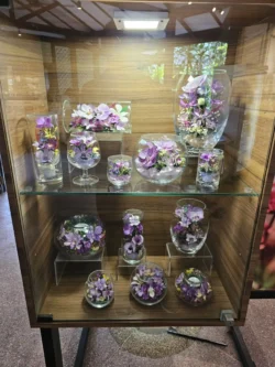 Singapore Botanic Gardens Svg+xml,%3Csvg%20xmlns%3D%22http%3A%2F%2Fwww.w3