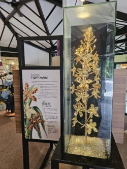 Singapore Botanic Gardens Svg+xml,%3Csvg%20xmlns%3D%22http%3A%2F%2Fwww.w3