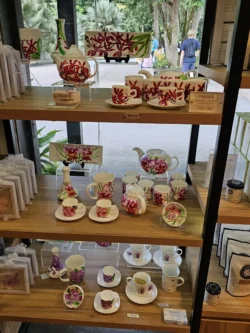 Singapore Botanic Gardens Svg+xml,%3Csvg%20xmlns%3D%22http%3A%2F%2Fwww.w3