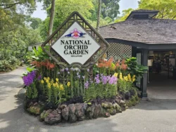 Singapore Botanic Gardens Svg+xml,%3Csvg%20xmlns%3D%22http%3A%2F%2Fwww.w3