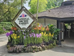 Singapore Botanic Gardens Svg+xml,%3Csvg%20xmlns%3D%22http%3A%2F%2Fwww.w3